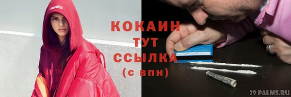 эйфоретик Майский