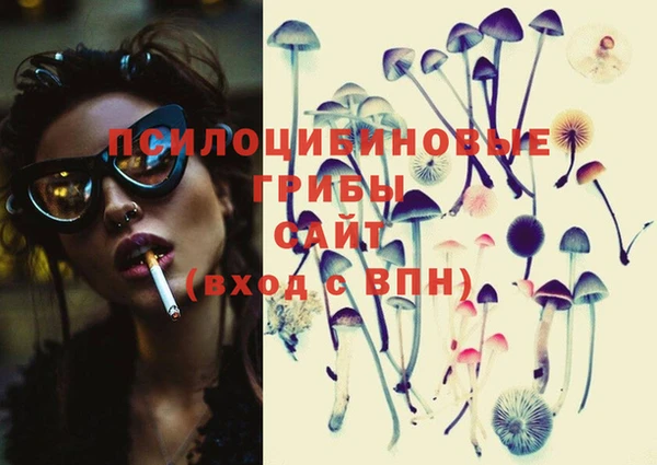 винт Магас
