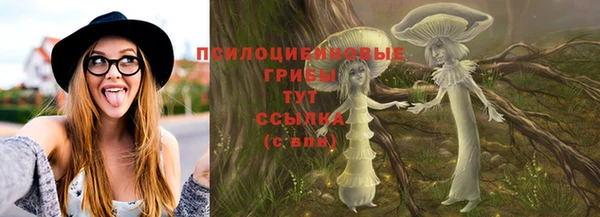 винт Магас