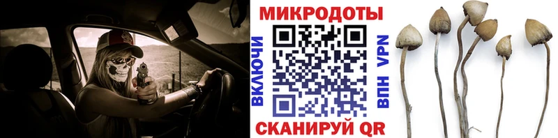 Галлюциногенные грибы MAGIC MUSHROOMS  shop формула  Сусуман 